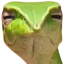 judge