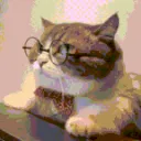 angryCat