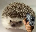 gunhedgehog