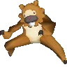 bidoof