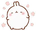 fydancebun fydancebun