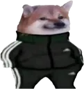 slav
