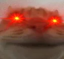 evil_cat