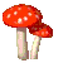 SPINNIE SPINNIE
