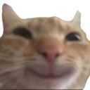 lw_pisicfericit custom emote - Fire Zone