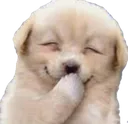 Laughdog Discord Emoji