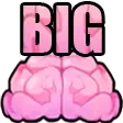 bigBrain bigBrain