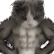 nabiBuff nabiBuff