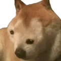BoopiSpin