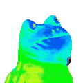 Rainbow Frog rainbowfrog Discord Emoji