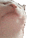 Cat_Vibe