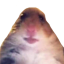 walterHamster Discord emoji
