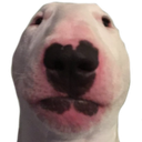 walterDog Discord emoji