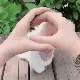 qt_dogo2