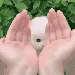 qt_dogo3 qt_dogo3