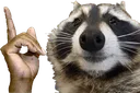 hesnitrogenweedyouknow