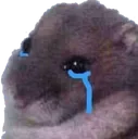 Sadboi