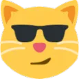 cat_sunglasses