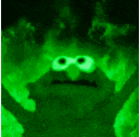 greenelmo Discord emoji
