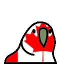 MemeCanadianParrot