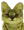 yellowsogga yellowsogga