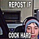 cockhard