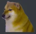BruhDog BruhDog