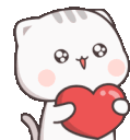 cutestwhitecat
