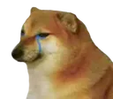 saddoge