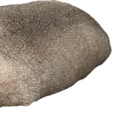 whatthedogdoin_2