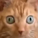 __