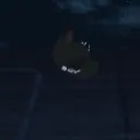 VanitasFlying