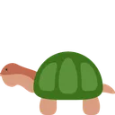 epicBlowfishTurtle
