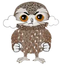 owlAngy