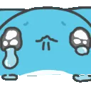cry