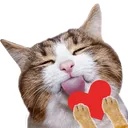 unslyuLove