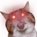 unslyuTrigg