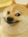 dogehehe