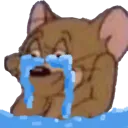 JerryTears