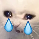 titi