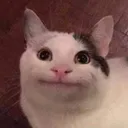 Wot