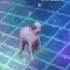 DancePupper Discord Emoji
