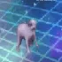 DancePupper