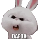 UDUrabbitdafok