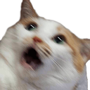 cat_surprise Discord emoji
