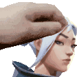 petjett