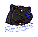 AportlandPanthers