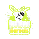 AhonoluluHornets Discord Emoji