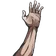 arm2
