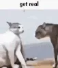 get_real